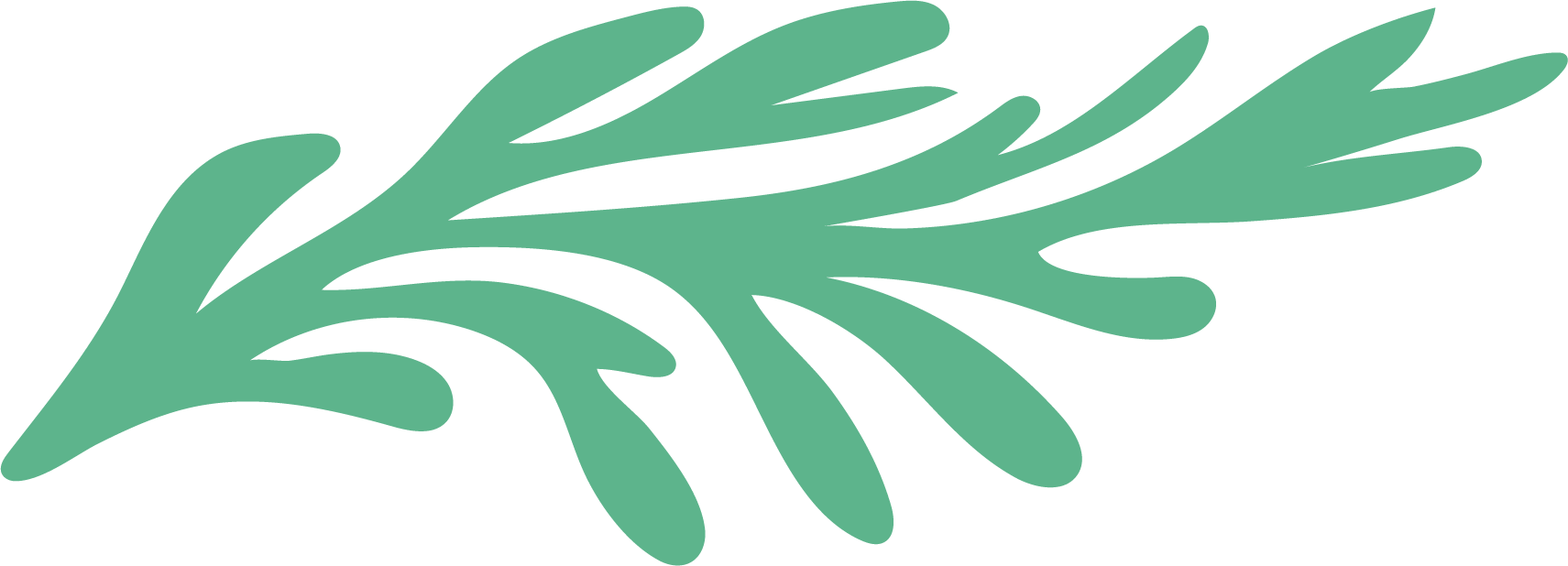 Sea moss illustration in pastel green used in Wavii Hydration branding for sea moss–infused coconut water drinks.